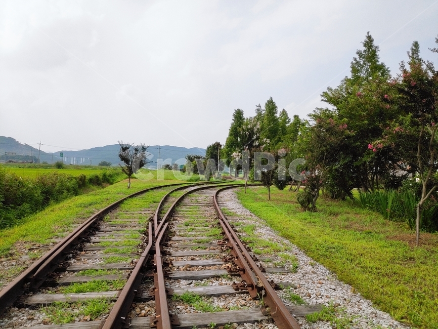 transportation,traintrack,railway,rail,교통,기찻길,철도,레일,자연,풍경,nature,landscape,train track