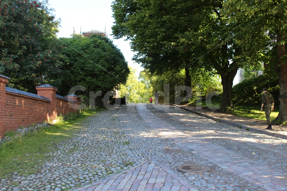 돌길,길,자연,나무,여름,여행,도시,풍경,city,landscape,walkway,보도,path,통로