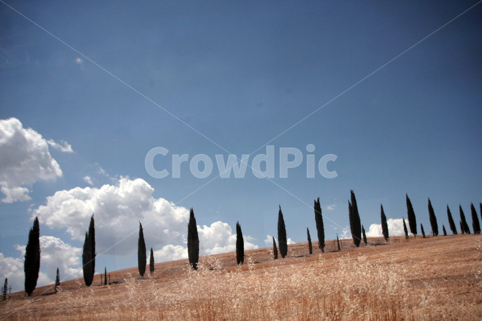 유럽,이탈리아,토스카나,자연,풍경,자연,풍경,nature,landscape,해외,외국,세계,foreign,oversea,world,세계자연풍경,해외자연풍경,외국자연풍경,world nature landscape,outdoors,옥외
