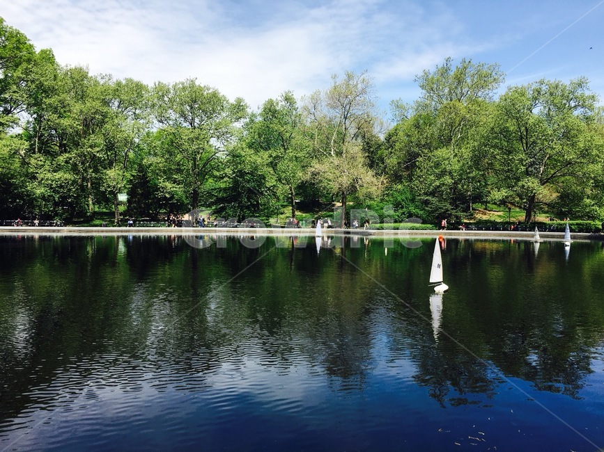자연,휴식,안정,센트럴파크,centralpark