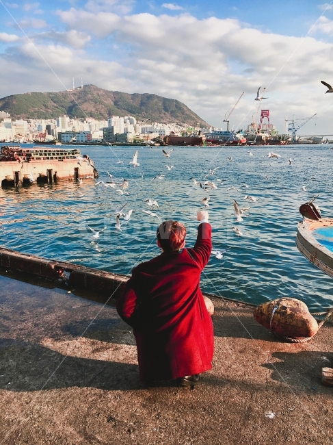 바다,해운대,겨울바다,갈매기,부산,부두,배,코트,빨강,대비,여행,휴가,traveling,vacation,trip,도시,풍경,city,landscape,사람,인물,인간,human,person,남성,남자,man,male,감정표현,기분,feeling,emotion,vehicle,차량,transportation,교통,watercraft,선박