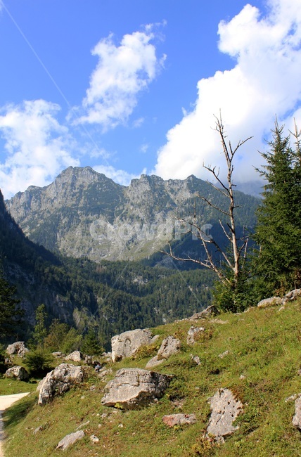 독일,베르히테스가덴,konigssee,퀴니제호수,국립공원,왕의호수,트레킹,자연경관,자연,풍경,산,나무,하늘,자연,풍경,nature,landscape,해외,외국,세계,foreign,oversea,world,세계자연풍경,해외자연풍경,외국자연풍경,world nature landscape,outdoors,옥외,mountain,plant,식물,tree,mountain range,산맥,abies,아비,fir,전나무