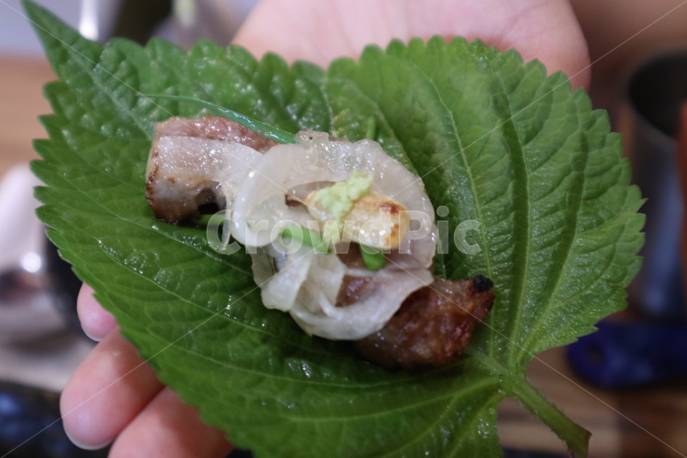 음식,쌈,돼지고기,한국음식,깻입,이베리코,흑돼지,구이,고기,한식,한국