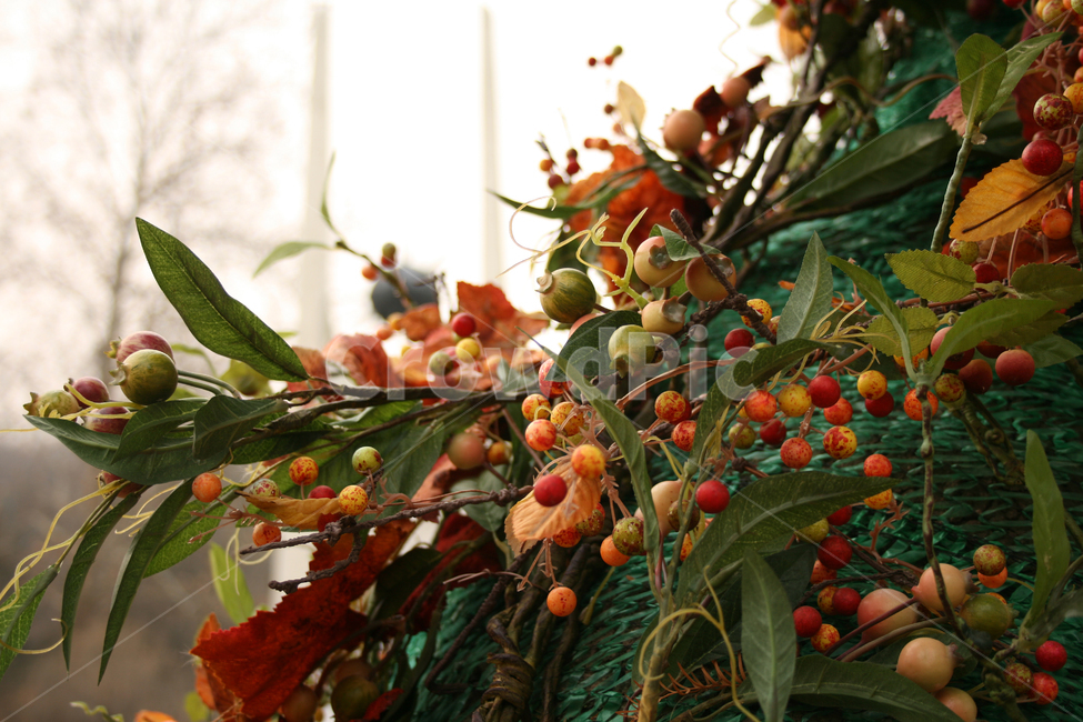 겨울,트리,공원,식물,나무,크리스마스,식물,자연,plants,nature,축제,행사,festival,carnival,event,메리크리스마스,성탄절,merry christmas