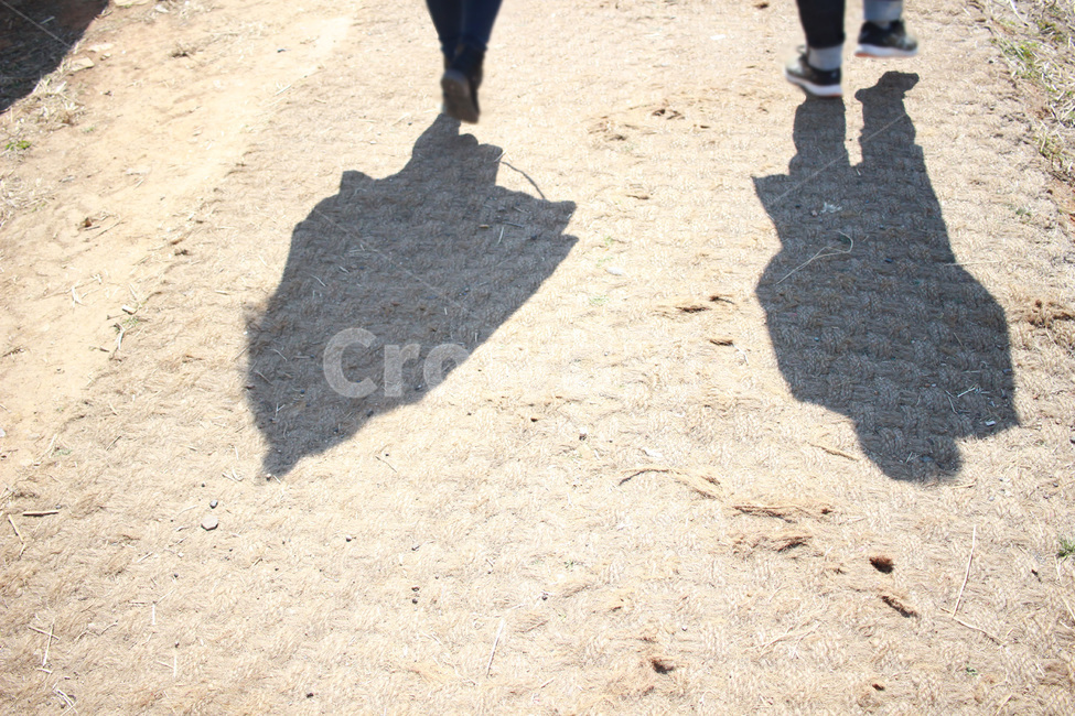 그림자,길,바닥,사람,뒷모습,인물실루엣,사람실루엣,character silhouette,human silhouette,person,human,인간,walking,보행