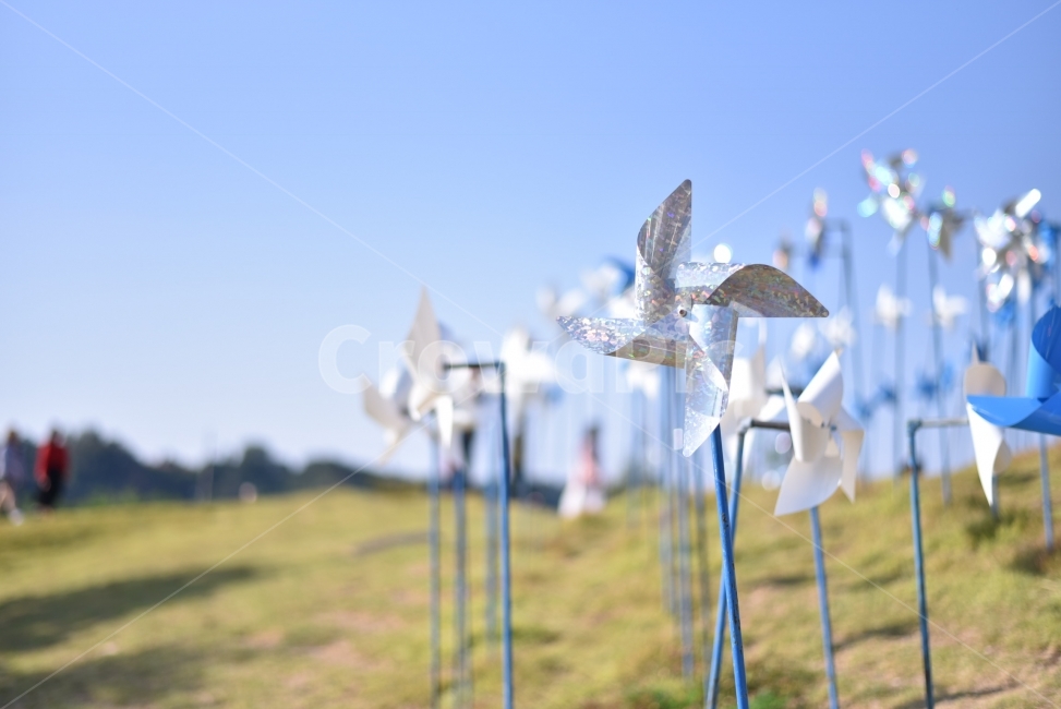 바람개비,풍경,감성,스냅,파주,일상,여행,색감,분위기,travel,picture,snap,사물,물건,오브젝트,thing,object,matter