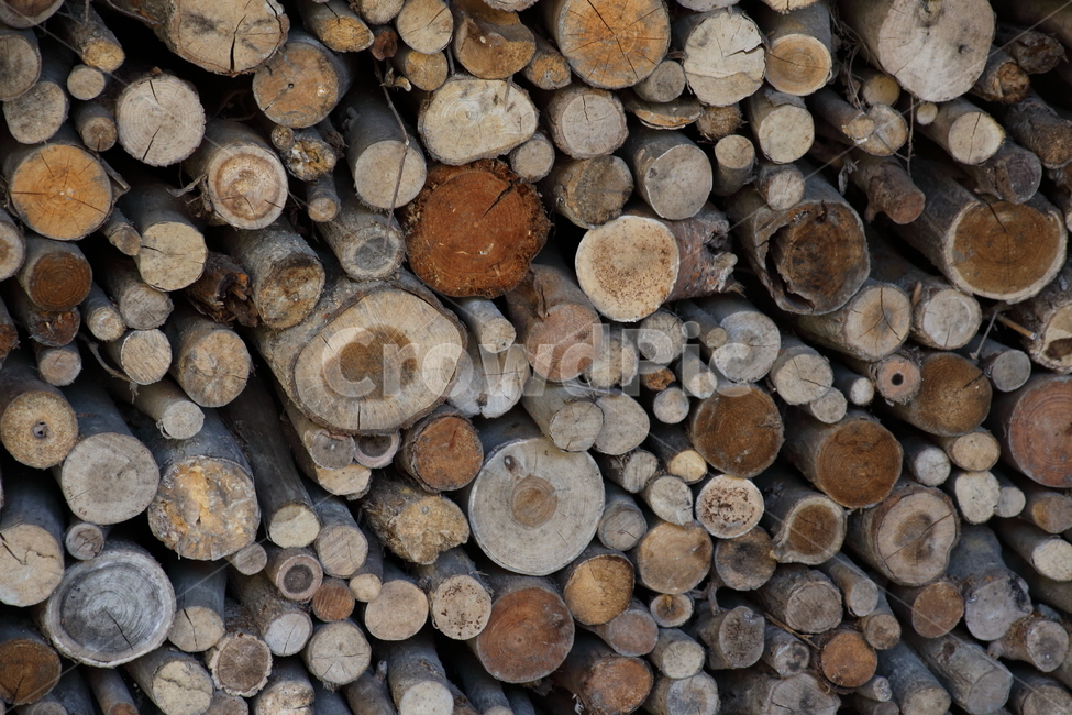 나무,장작,단면,wood,firewood,나무,trees,wood
