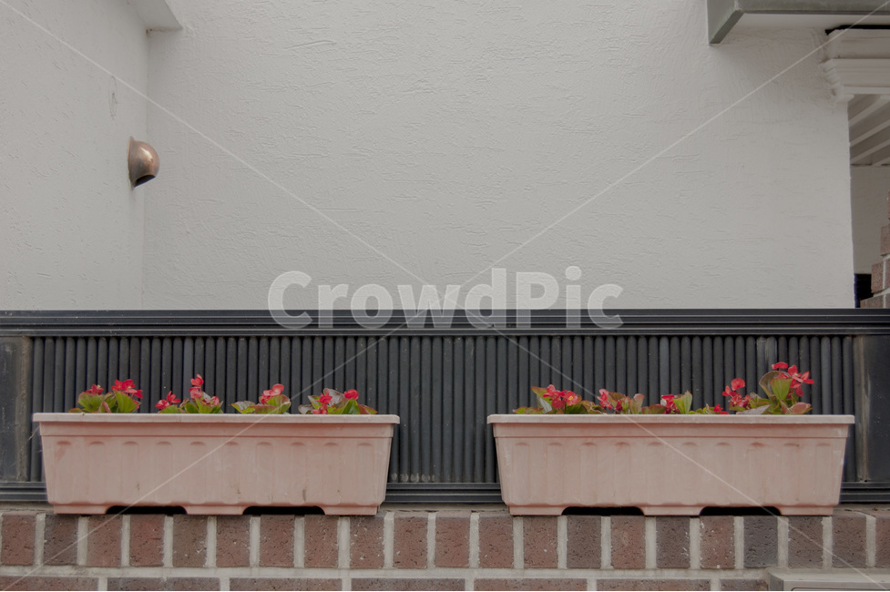 화단,감성사진,담벼락,벽돌,식물,마을,북촌한옥마을,한옥,beds,wall,brick,plants,village,korea,Koreanstylehouse,house,home,식물,자연,plants,nature,꽃,flower