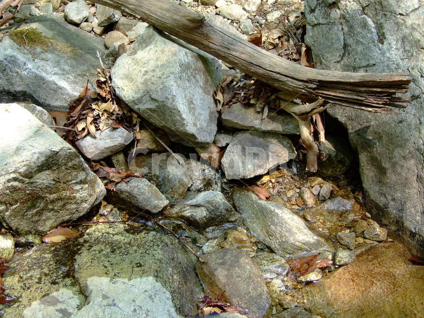 계곡,돌,물,여름,숲속,자연,풍경,nature,landscape,rubble,파편