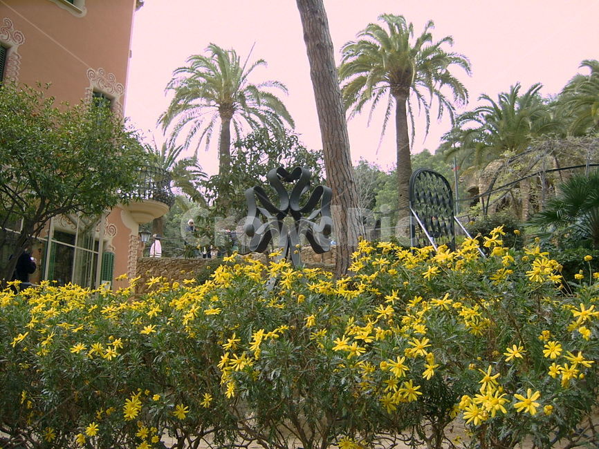 garden,정원,옥외,outdoors,나무