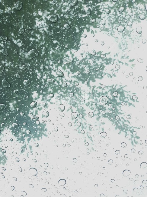 비오는날,비,물방울,빗물,자연,풍경,배경,물,비,비오는날,rain,rainy