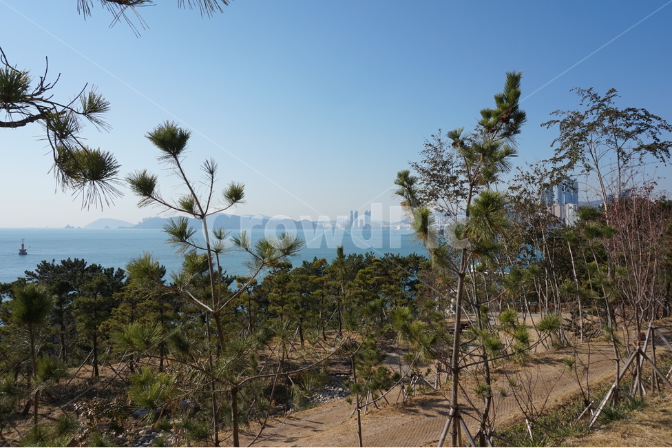 겨울,바다,겨울바다,공원,겨울풍경,자연,풍경,nature,landscape,한국자연풍경,한국자연경관,korea nature landscape,tree,나무,plant,식물,summer,여름