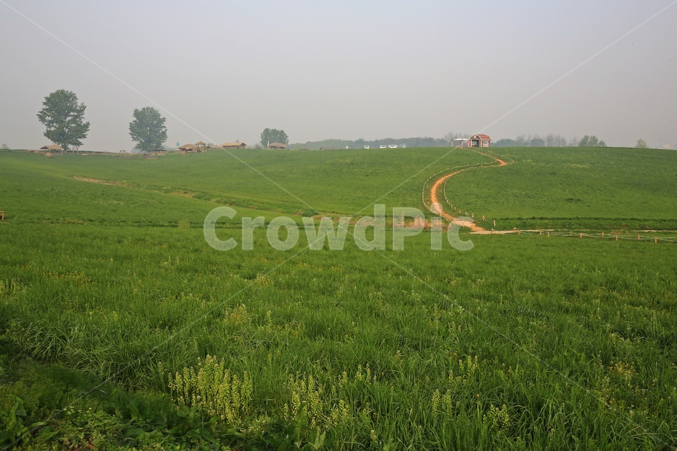 경기,안성,팜랜드,안성팜랜드,농사,농업,경작,rural,농촌,farm,농장,meadow,field,들,outdoors,옥외,grassland,목초지,nature,자연,plant,식물