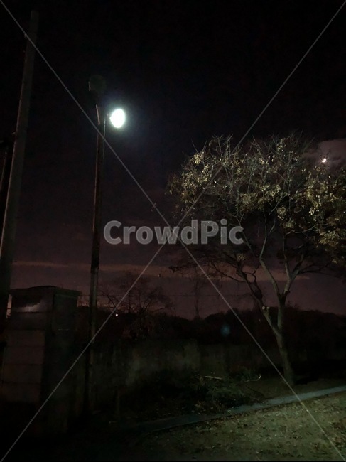밤,나무,저녘,가로등,밤길,저녁,하굣길,어두운,자연,풍경,nature,landscape,야경,밤,nightscape,night,outdoors,옥외,outer space,대기권 밖,universe,우주,astronomy,천문학,moon,달,space
