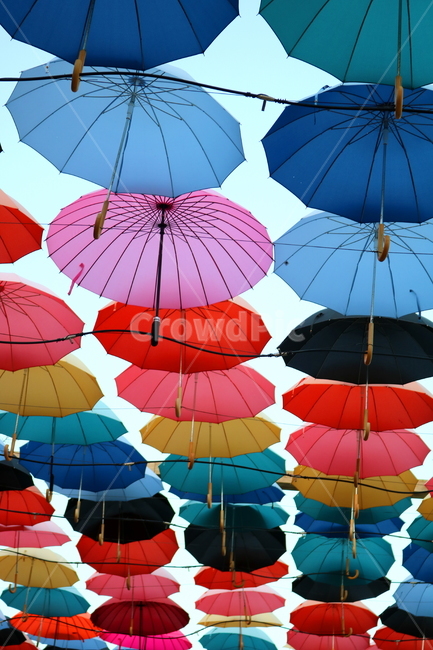 우산,비,그늘막,우산들,지붕우산,우산축제,하늘,허브아일랜드