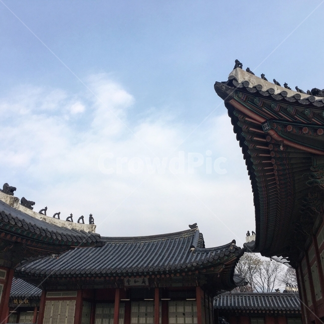 궁전,서울,경복궁,지붕,겨울,흔옥,한국전통,한국문화,korean traditional,korean culture,랜드마크,landmark,tourist attraction,한국랜드마크,한국관광지,한국명소,korea landmark,korea tourist attraction,건축물,건물외관,exterior,building,structure,architecture,construction