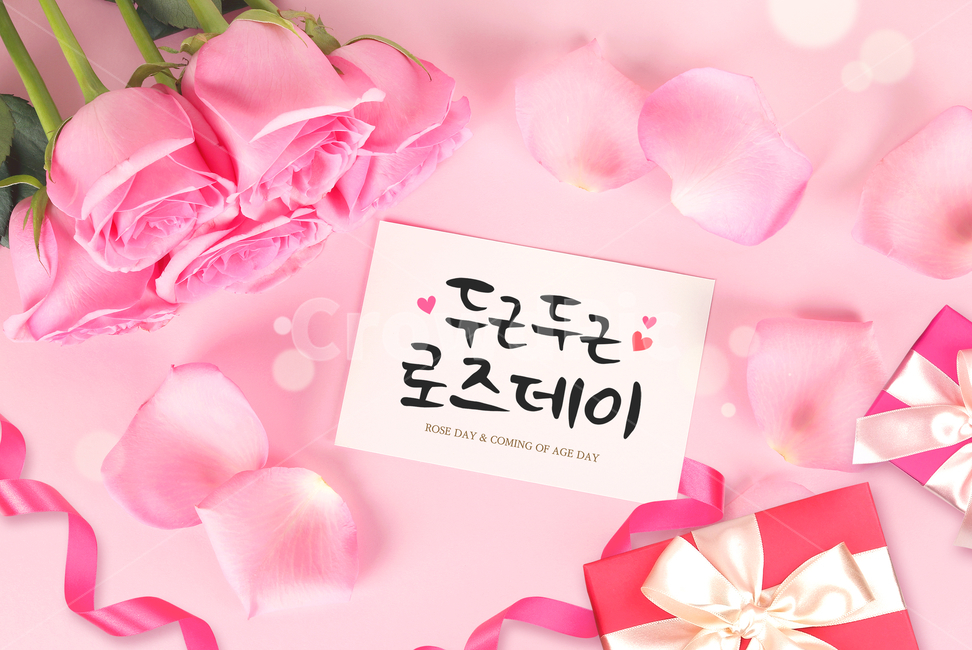 리본,꽃,장미,선물상자,꽃잎,프레임,캘리,캘리그라피,손글씨,붓글씨,이벤트,기념일,사랑,프로포즈,꽃,flower,연인,커플,사랑,lover,couple,기념일,축하,anniversary,congratulation,celebrate,celebration,그래픽,일러스트레이션,graphic,illustration