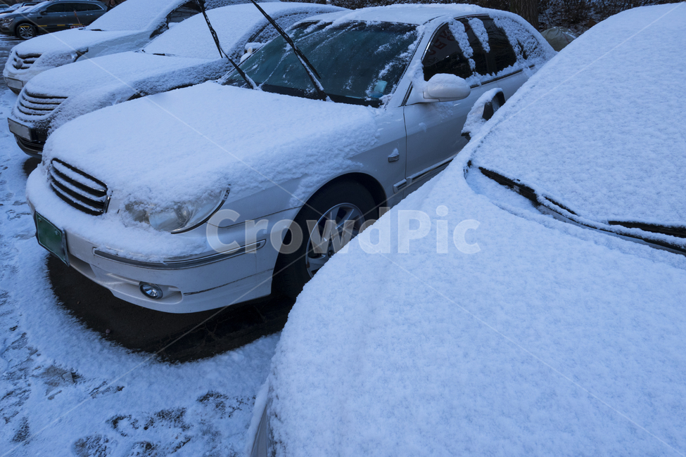 주차장,야외,자동차,차,승용차,눈,겨울,폭설,화이트,사이드미러,정렬,겨울,계절,winter,season,교통,교통수단,traffic,transportation,automobile,vehicle,차량,car,nature,자연,outdoors,옥외,machine,기계,tire,타이어