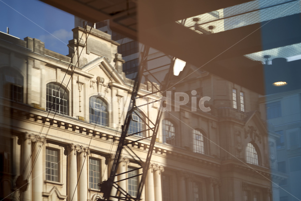 거울,시티,오클랜드,뉴질랜드,해외,거리,도시,느낌,감각,감성