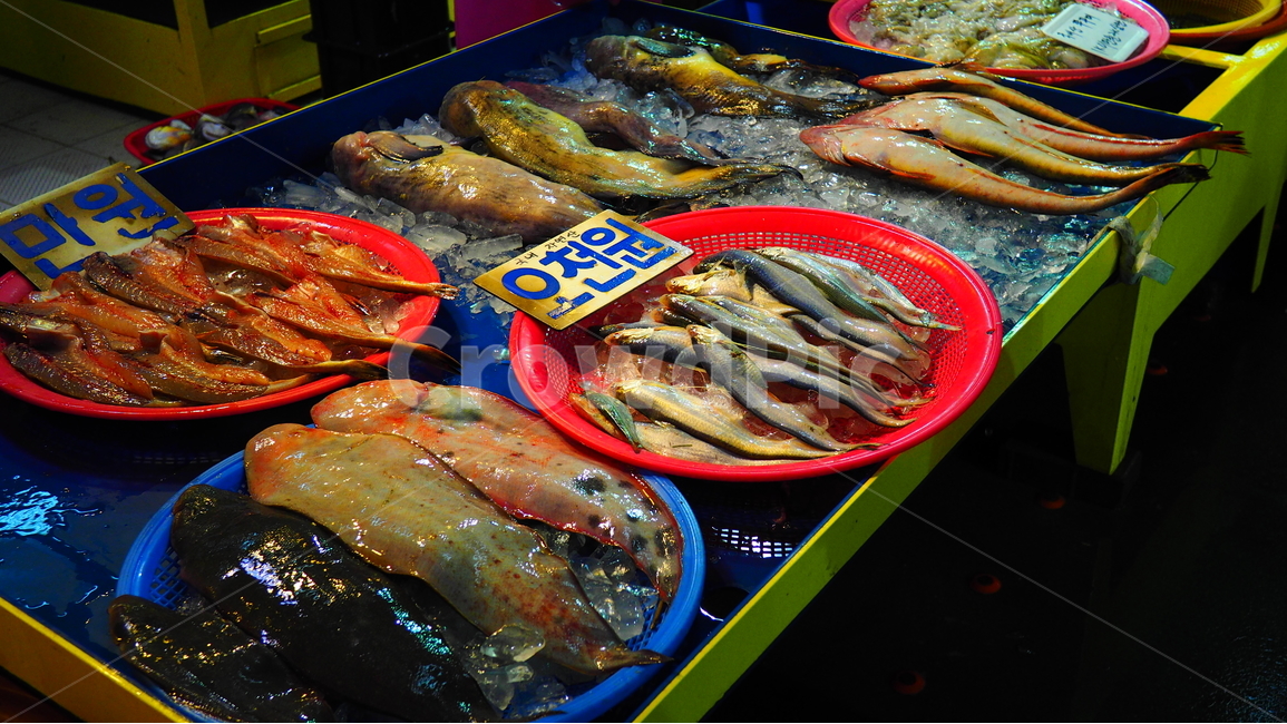 수산시장,생선,소래포구,해산물,싱싱한,신선한,식재료,바다,market,맛있는,건강한,매대,시장,마트,마켓,market,mart,market place,음식,식재료,요리,food,cook,meal,dishes,food reserves,수산물,해산물,fishery products,seafood