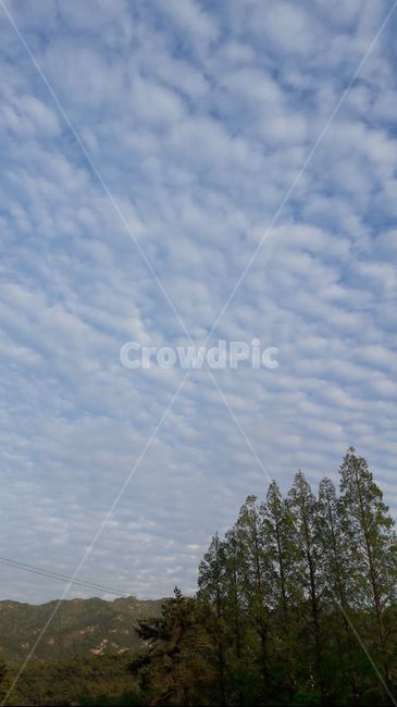 자연,nature,하늘,구름,나무,배경사진,감성