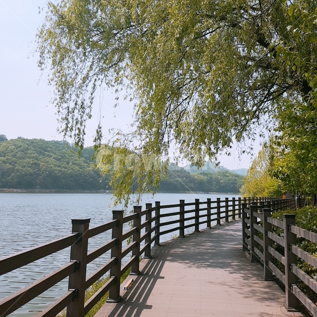 공원,park,호수,lake,나무,tree,난간,railing,자연,풍경,nature,landscape,water,물,waterfront,워터 프론트