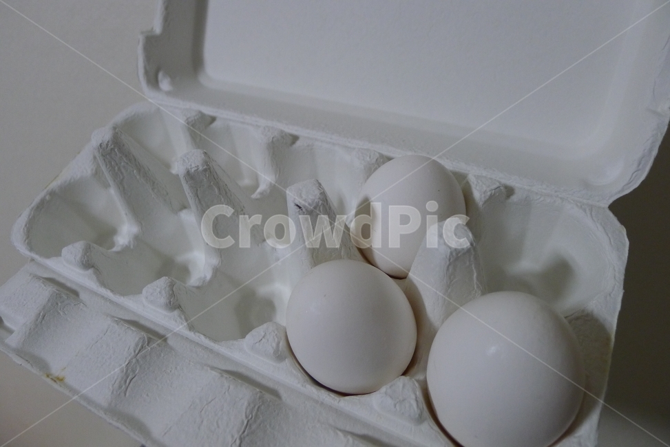 달걀,계란,알,하얀달걀,egg,eggs,하얀계란,음식,식재료,요리,food,cook,meal,dishes,food reserves