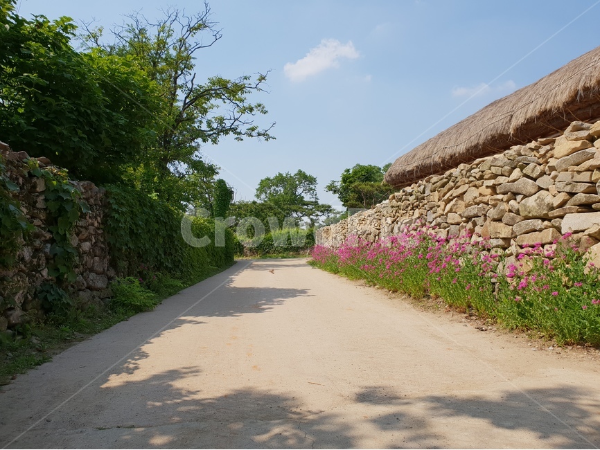 외암리,풍경,5월,맑음,꽃,시골,마을,풍경,landscape,country,rural,town,골목길,alley,outdoors,옥외