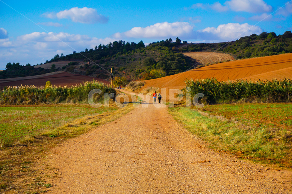 유럽,스페인,풍경,산티아고,순례길,자연,풍경,nature,landscape,해외,외국,세계,foreign,oversea,world,세계자연풍경,해외자연풍경,외국자연풍경,world nature landscape,사람,인물,인간,human,person,road,도로,dirt road,흙길,gravel,자갈,outdoors,옥외