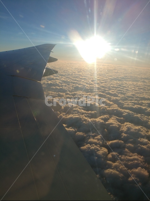 빛,flare,플레어,sunlight,햇빛