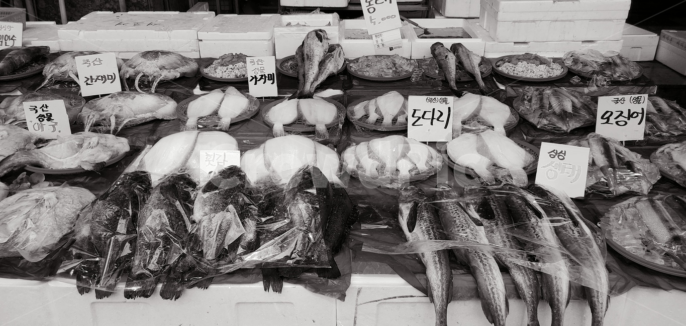 생선가게1흑백,어패류,생선,음식,food