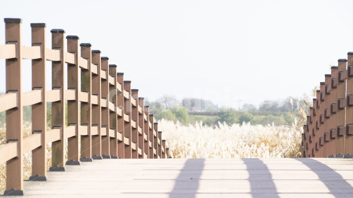 wood,나무,갈대,가을,하늘,그림자,울타리,다리,자연