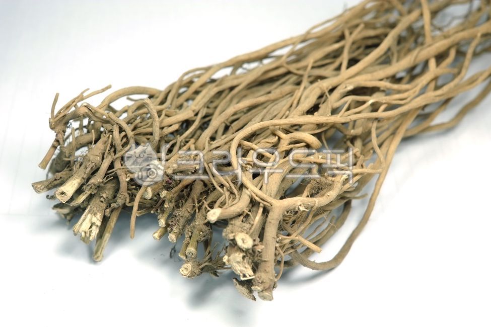 rain,usul,dry,dried,Usuri,herbal tea,iron knee,osteopathy,iron mulpak,raw material,root,plant,healthy tea