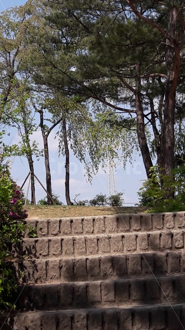 하늘,구름,초록,그늘,바람,자연,풍경,nature,landscape,plant,식물,tree,나무