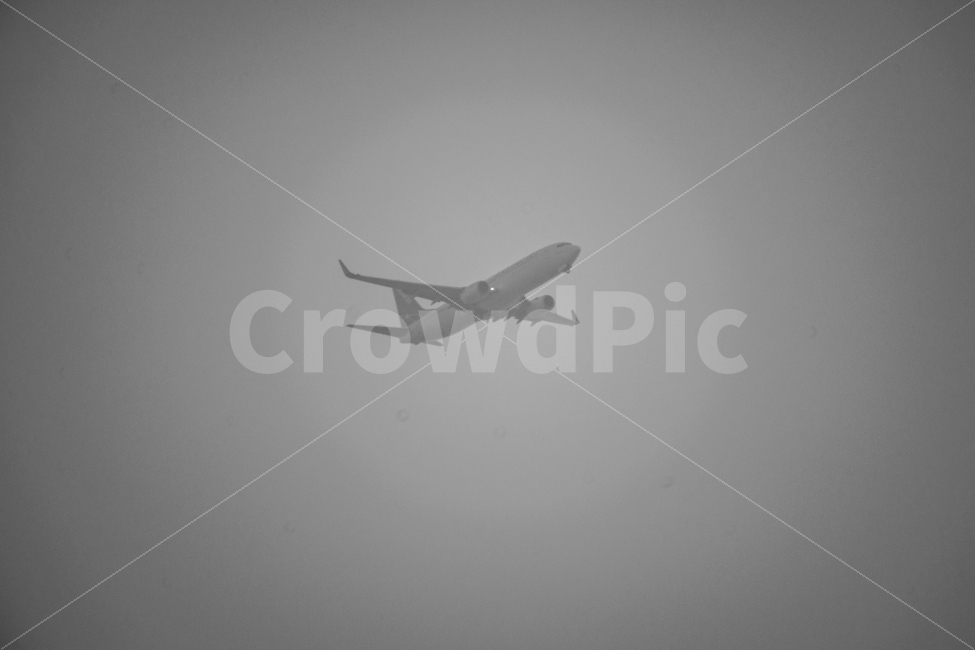 여행,비행기,흑백,날아,멀리,교통,교통수단,traffic,transportation,flying,나는,airplane,vehicle,차량,aircraft,항공기,nature,자연