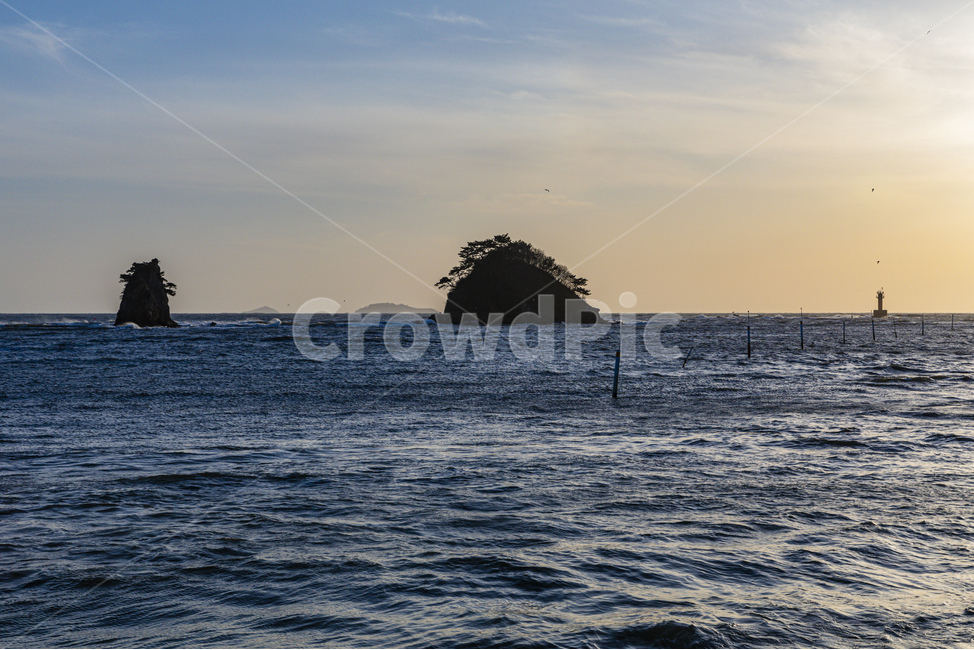 바다,파도,수평선,하늘,갈매기,blue,sea,sky,water,coastline,waves,자연,풍경,nature,landscape