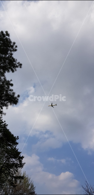 비행기,나무,구름,하늘,비행,교통,교통수단,traffic,transportation,flying,나는,aircraft,항공기,vehicle,차량,airplane