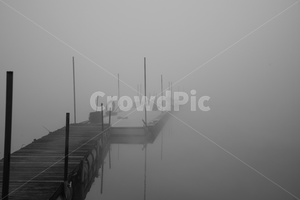 자연,안개,물안개,무광저수지,fog,자연,풍경,nature,landscape