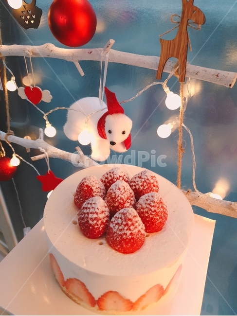 cake,케이크,dessert,디저트,음식,food,크리스마스,북극곰,레드,christmas,12월25일,메리크리스마스,성탄절,merry christmas