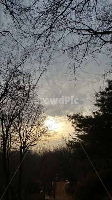 노을,해질녘,분위기,일몰,빛,sunset,실루엣,구름낀,명상,힐링,어스름,풍경,해질녁,그라데이션,저녘노을,저녘하늘,저녘풍경,감성,healing,운치,흐린,고요함,휴식,구름,하늘,sky,해,해질무렵,저녘무렵,해질때,그림자,쉼,배경,산,어두운,쓸쓸함,색감,하늘색,자연,나무,자연,풍경,nature,landscape,outdoors,옥외