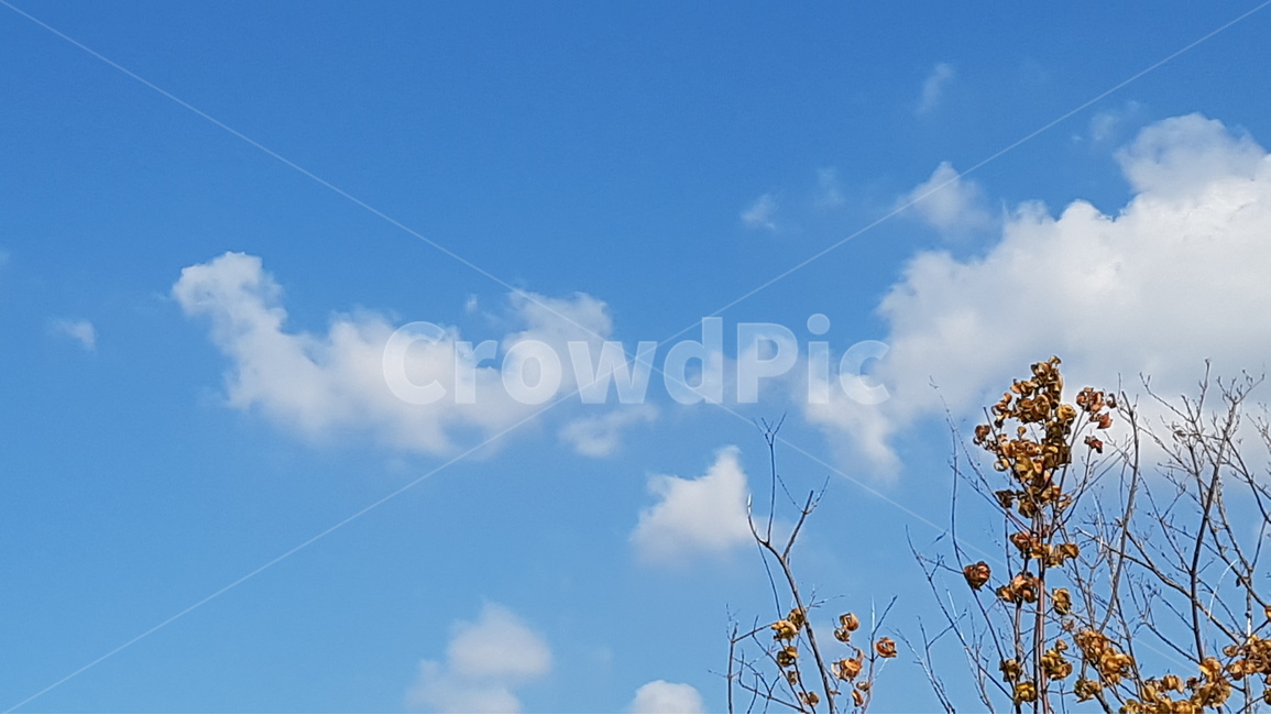 풍경,배경,그림,하늘,자연,나무,구름,아름다운,경관,경치,여행,scnery,background,art,sky,nature,tree,cloud,beautiful,travel,자연,풍경,nature,landscape,outdoors,옥외