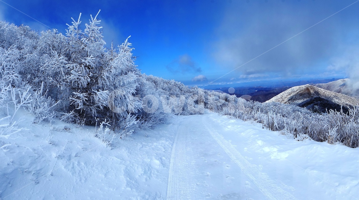 함백산,설경,풍경,상고대,정선,고한,푸른하늘,겨울,계절,winter,season,자연,풍경,nature,landscape,outdoors,옥외,tree,나무,plant,식물