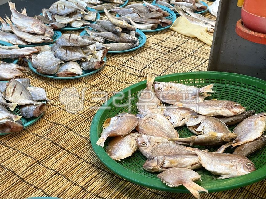Market,fish,semi-dried fish,semi-dried,fish,fish market,dried fish,fish,marine life,ingredients,dried fish,food,marine products,seafood,traditional market,traditional market,display,display stand,market food,cooking ingredients,food,s