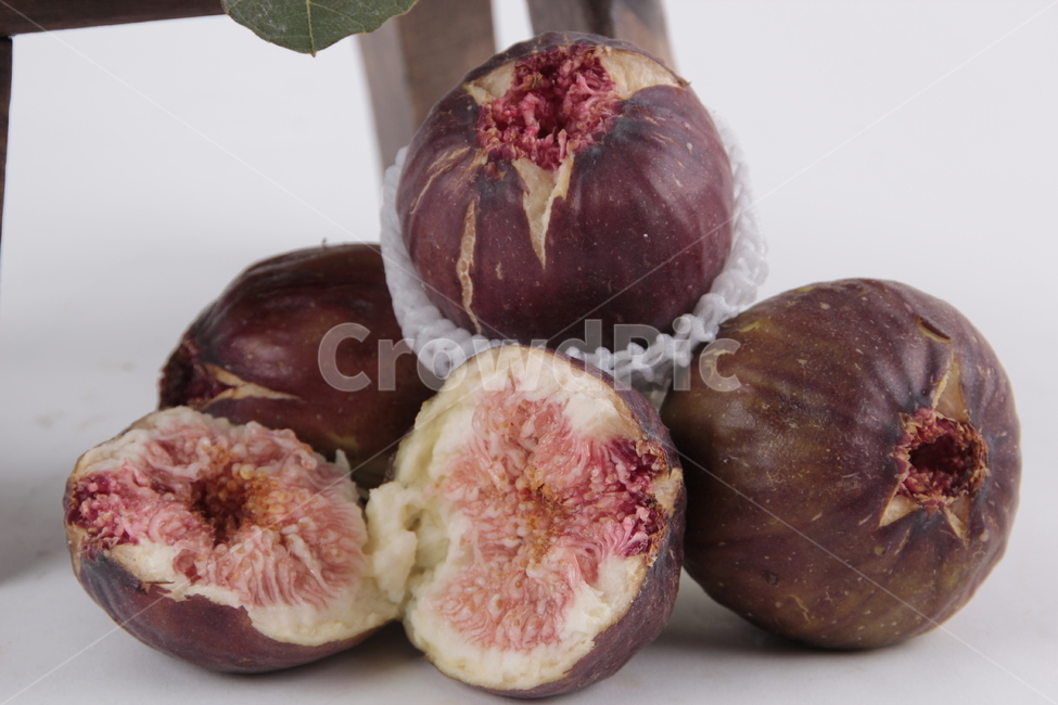 무화과,과일,푸드,food,fruit,음식,식재료,요리,food,cook,meal,dishes,food reserves,과일,열매,fruit