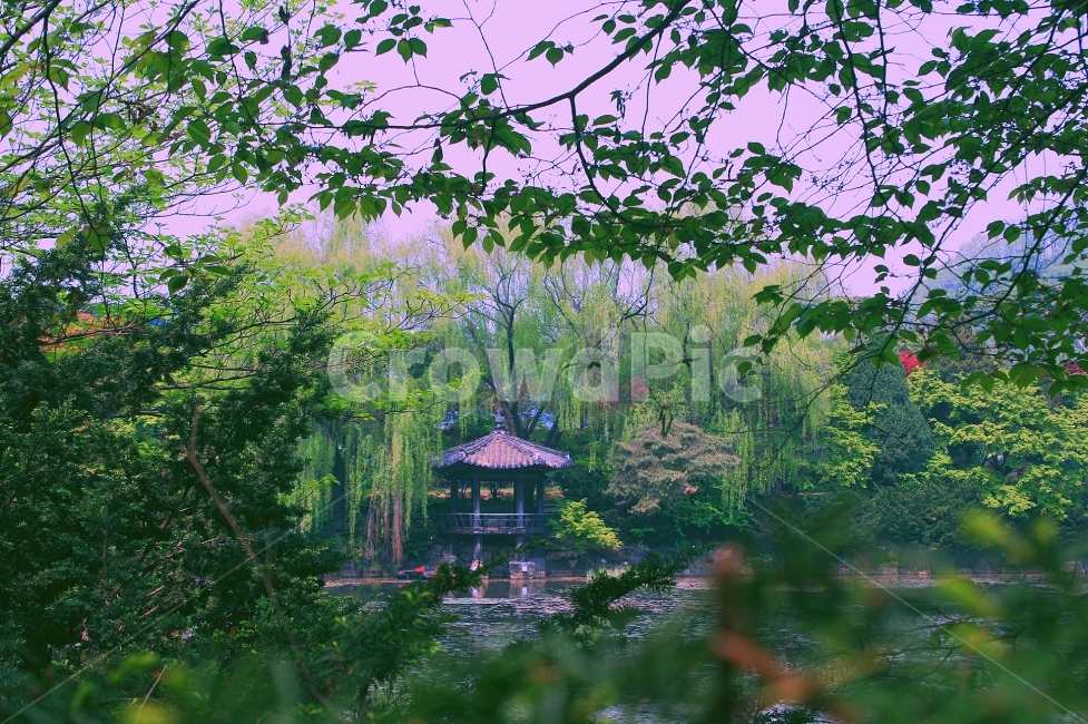 Byeokchoji,emotion,green,pavilion,grass,arboretum,trees,Byeokchoji Arboretum