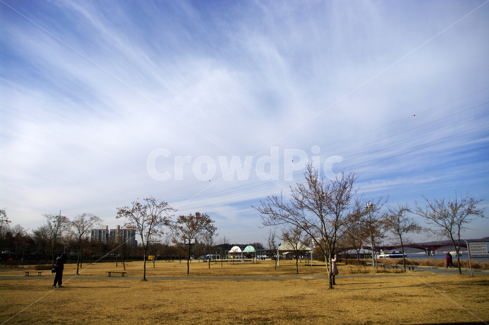 하늘,구름,풍경,공원,나무,겨울,겨울,계절,winter,season,도시,풍경,city,landscape,한국도시풍경,한국도시경관,korea cityscape,grass,잔디,plant,식물