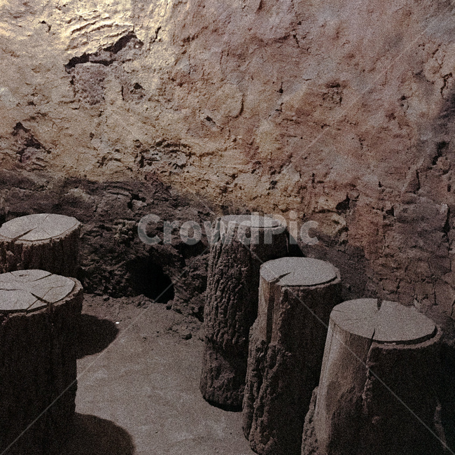흙,soil,ground,바닥,treestump,그루터기,자연,nature