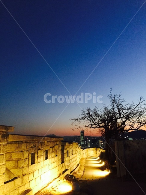 나무,겨울,풍경,계절,outdoors,야경,밤,풍경,nightscape,night,landscape