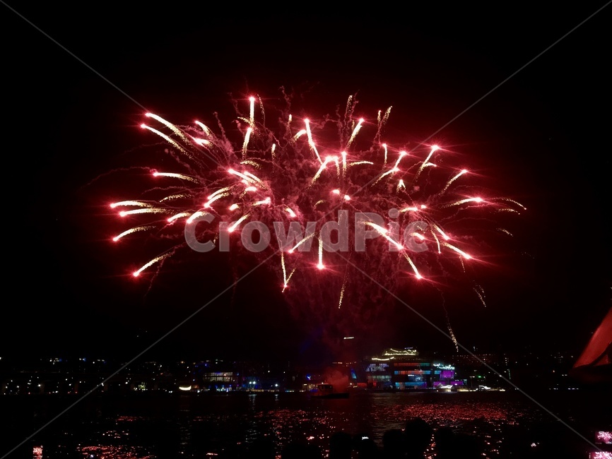 한강,불꽃놀이,폭죽,밤,firework,야경,밤,풍경,nightscape,night,landscape