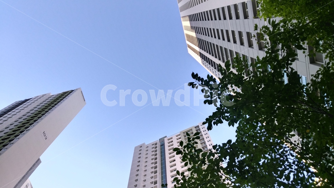 officebuilding,사무실건물,건물,도시,고층건물,아파트,city,urban,town,도시,풍경,city,landscape